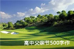 高中父亲节500字作文（精选20篇）