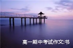 高一期中考试作文:书，触动我的心