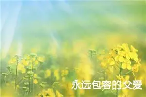 永远包容的父爱