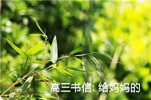 高三书信: 给妈妈的一封信（二）