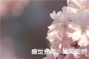 盛世光年，浅笑安然