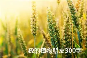 我的植物朋友300字作文三年级下册（精选16篇）