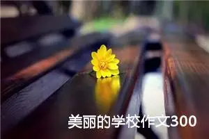 美丽的学校作文300字三年级（精选10篇）