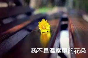 我不是温室里的花朵