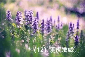 *（12）羽虎发威，砍下冠军获“虎王”