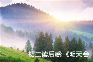 初二读后感:《明天会有好运气》（八）