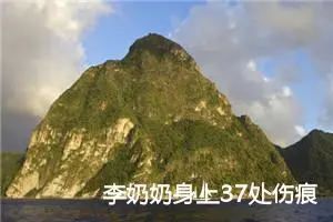 李奶奶身上37处伤痕——之心得