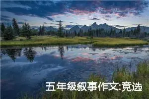 五年级叙事作文:竞选值周生