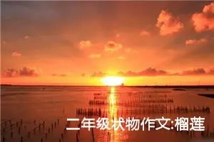 二年级状物作文:榴莲