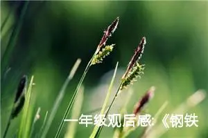 一年级观后感:《钢铁是怎样炼成的》