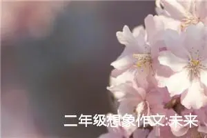 二年级想象作文:未来的汽车