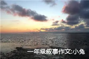 一年级叙事作文:小兔子过河