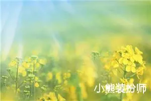 小熊装扮师