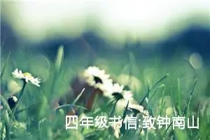 四年级书信:致钟南山爷爷（二）