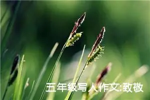 五年级写人作文:致敬医生