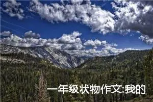 一年级状物作文:我的小书包