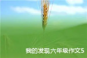 我的发现六年级作文500字左右（精选10篇）