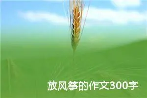 放风筝的作文300字三年级范文（精选10篇）