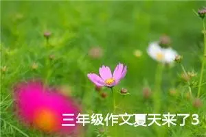 三年级作文夏天来了300字（精选20篇）