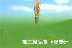 高三观后感:《杨善洲》观后感五