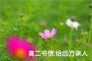 高二书信:给远方亲人的一封信（二）