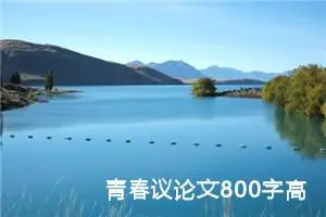 青春议论文800字高中（精选10篇）