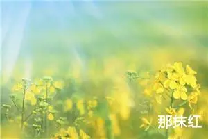 那抹红