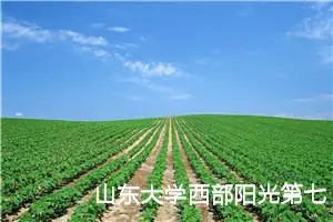 山东大学西部阳光第七届贵州支教感想