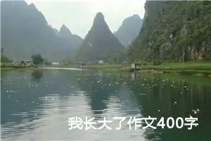 我长大了作文400字五年级（精选10篇）