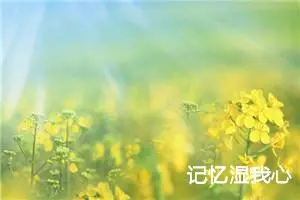 记忆湿我心