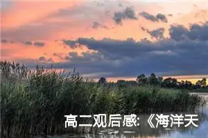 高二观后感:《海洋天堂》观后感6