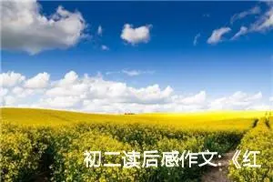 初二读后感作文:《红星照耀中国》读后感2