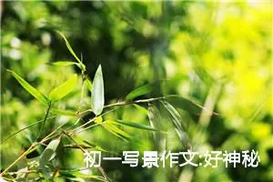 初一写景作文:好神秘的晨雾