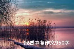 我看中考作文950字