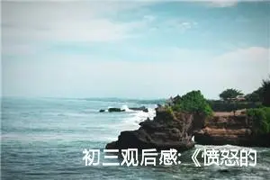 初三观后感:《愤怒的小鸟》