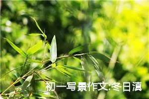 初一写景作文:冬日滇池