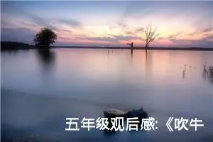 五年级观后感:《吹牛大王历险记》观后感三