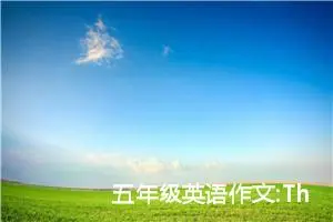 五年级英语作文:The sky in my hometown