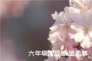 六年级读后感:追风筝的人优秀读后感15