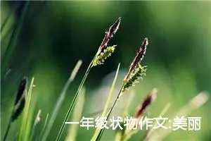 一年级状物作文:美丽的凤仙花