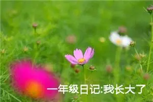 一年级日记:我长大了