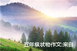 五年级状物作文:来自老师的礼物