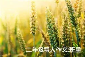 二年级写人作文:班里的新同学