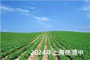 2024年上海杨浦中考作文题目已公布