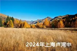 2024年上海卢湾中考作文题目已公布