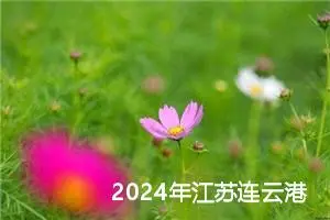 2024年江苏连云港中考作文题目公布