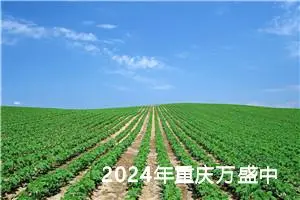 2024年重庆万盛中考语文A卷作文题目公布 附作文范文