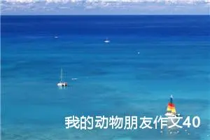 我的动物朋友作文400字四年级下册（通用14篇）