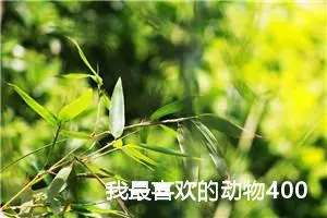 我最喜欢的动物400字作文四年级（精选10篇）