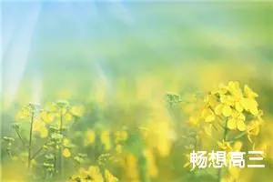 畅想高三